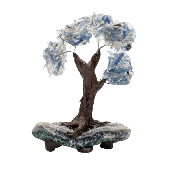 Árvore de Pedra Natural Sodalita Presente e Decoração