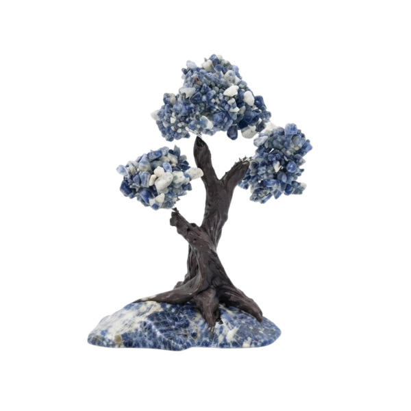 Árvore de Pedra Sodalita Rolada Presente e Decoração
