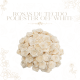 Kit 100 Rosas de Tecido Poliester Off White