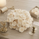 Kit 100 Rosas de Tecido Poliester Off White